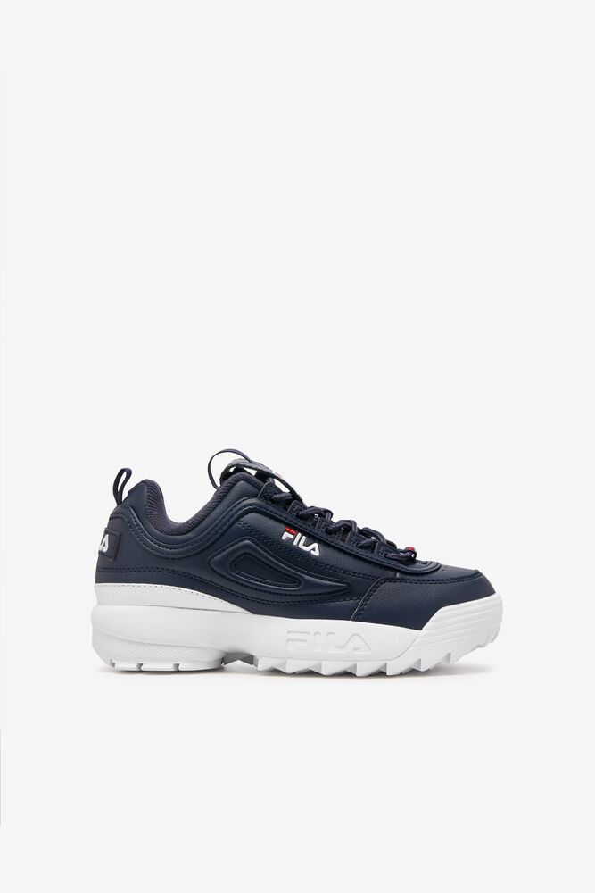 Fila Enfants Disruptor 2 422 Enfants|QNGC-05929602