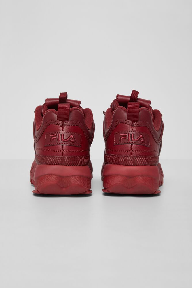 Disruptor 2 Autumn Bred/Bred/Bred Femme|VJGO-77981566