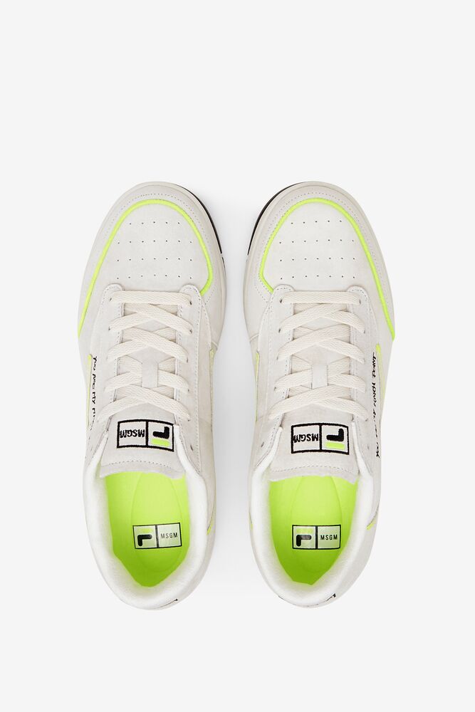 Tennis 88 Premium X Msgm 115 Unisex|VDXP-91446338