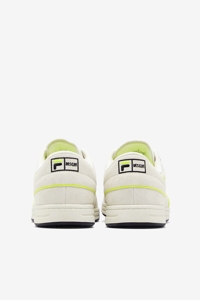 Tennis 88 Premium X Msgm 115 Unisex|VDXP-91446338